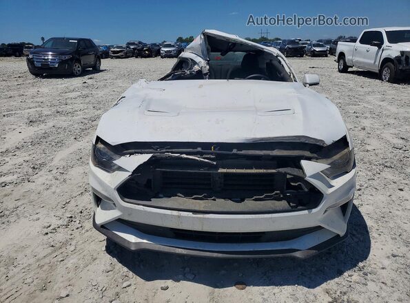 1FA6P8TH1K5187301 2019 FORD MUSTANG White Widok z tyłu