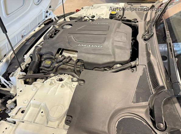 SAJD85EE4PCK80432 2023 JAGUAR F-TYPE White Սալոնի դիմացի տեսք