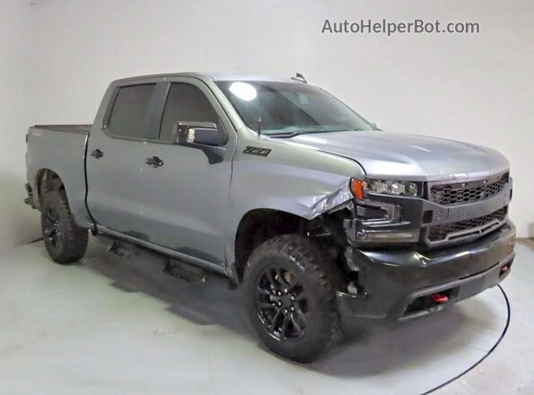 1GCPYFED6KZ334179 2019 CHEVROLET SILVERADO Gray 