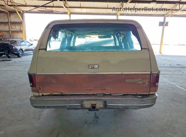 CCZ163F128295 1973 CHEVROLET SUBURBAN Tan Вид ззаду