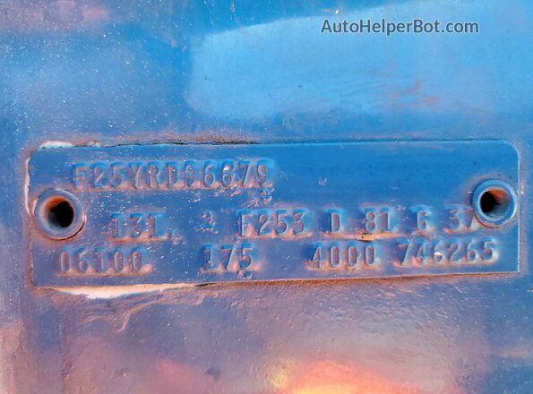 F25YRD96679 1969 FORD F250 Двухцветный 