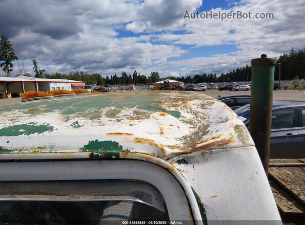 F37YRR26209       1973 FORD PICK UP Белый Вид спереди