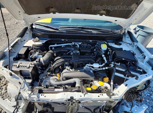 JF2BUPED6TY486029 2026 SUBARU OUTBACK White 