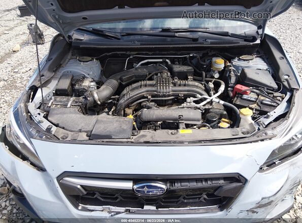 JF2GTACC7K8291121 2019 SUBARU CROSSTREK Light Blue Widok z tyłu