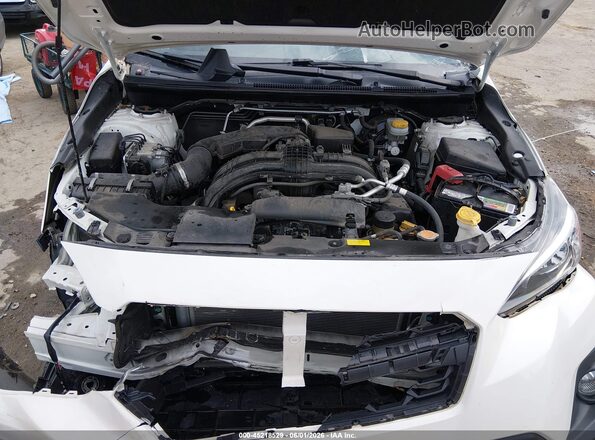 JF2GTAEC2K8306962 2019 SUBARU CROSSTREK White Вид ззаду