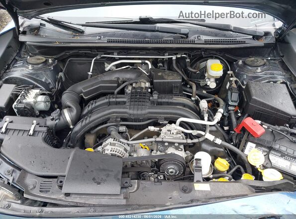 JF2GTAMC1K8283398 2019 SUBARU CROSSTREK Blue Widok z tyłu