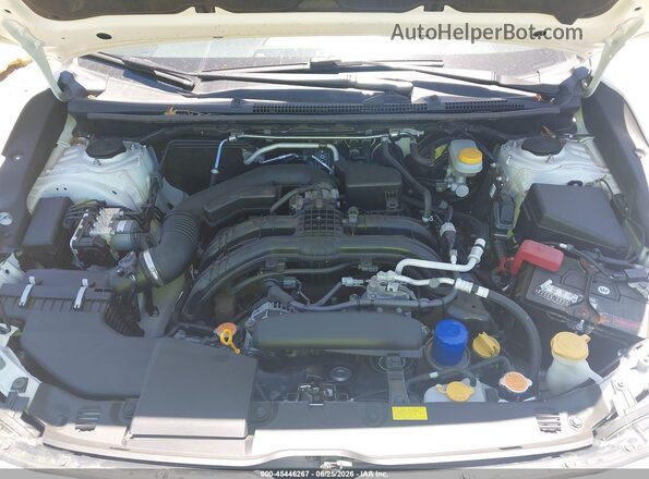 JF2GTANC4K8393070 2019 SUBARU CROSSTREK White Widok z tyłu