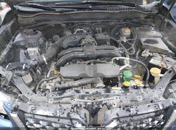 JF2SJABC6GH423844 2016 SUBARU FORESTER Blue Vista trasera