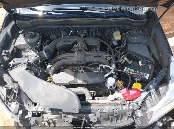 JF2SJABCXGH423779 2016 SUBARU FORESTER Gray Widok z tyłu
