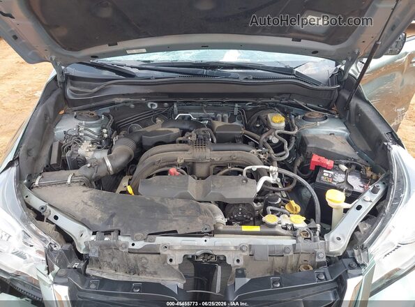 JF2SJAGC2HH579082 2017 SUBARU FORESTER Green Widok z tyłu