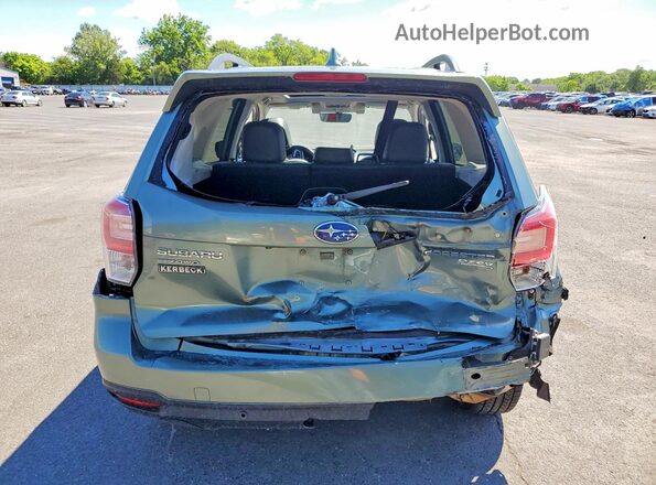 JF2SJAWC1HH549797 2017 SUBARU FORESTER Green Вид ззаду
