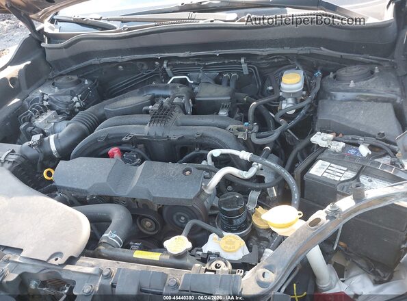 JF2SJAWC5HH548989 2017 SUBARU FORESTER Синий Вид сзади