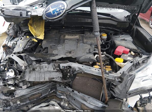 JF2SJGEC7HH447909 2017 SUBARU FORESTER Silver უკანა ხედი