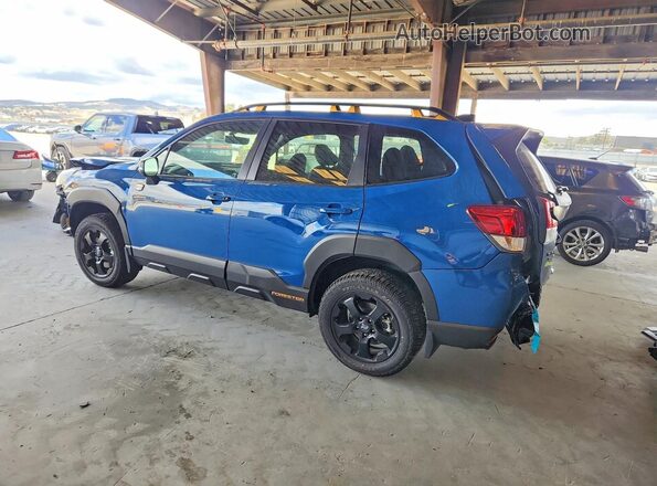 JF2SKAJC4SH403163 2025 SUBARU FORESTER Синий Задняя левая четверть