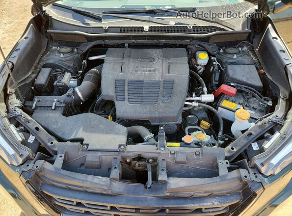 JF2SKAPC8PH418246 2023 SUBARU FORESTER Green Widok wnętrza z tyłu