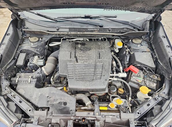 JF2SKARC6LH409214 2020 SUBARU FORESTER Синий Вид задней части салона