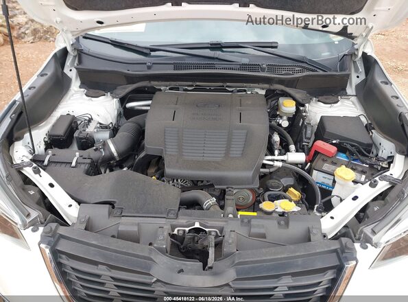 JF2SKASC2KH424866 2019 SUBARU FORESTER White Rear view
