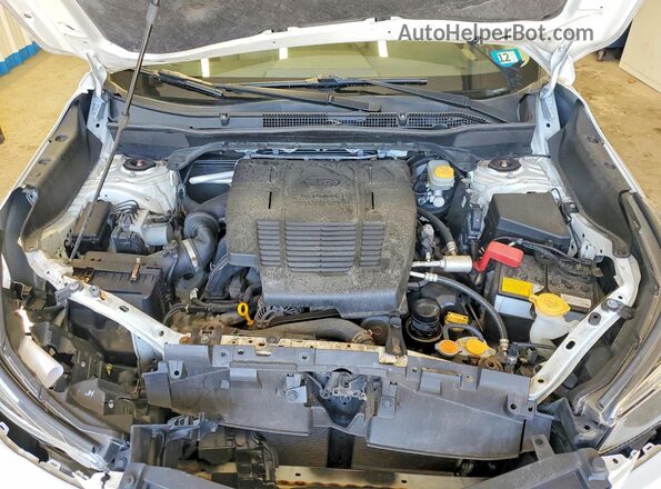 JF2SKASC2KH426293 2019 SUBARU FORESTER White Widok komory silnika