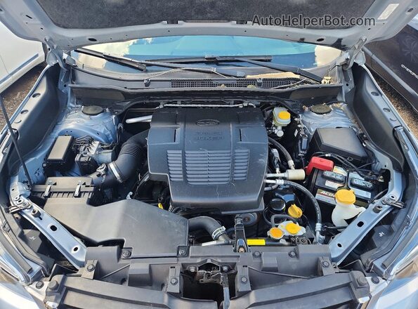 JF2SKASC8KH575968 2019 SUBARU FORESTER Silver Вид задньої частини салону