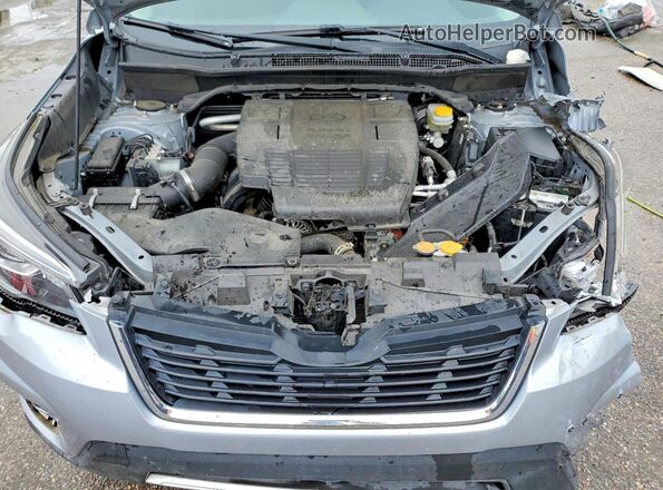 JF2SKAXC6LH499418 2020 SUBARU FORESTER Silver Vista del compartimento del motor