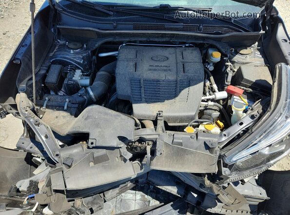 JF2SKAXC6LH584422 2020 SUBARU FORESTER Gray Vista del compartimento del motor