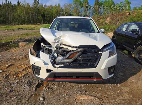 JF2SKEFC3RH441820 2024 SUBARU FORESTER White წინა ხედი