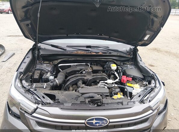 JF2SLDDC7SH612052 2025 SUBARU FORESTER Gray Widok z tyłu