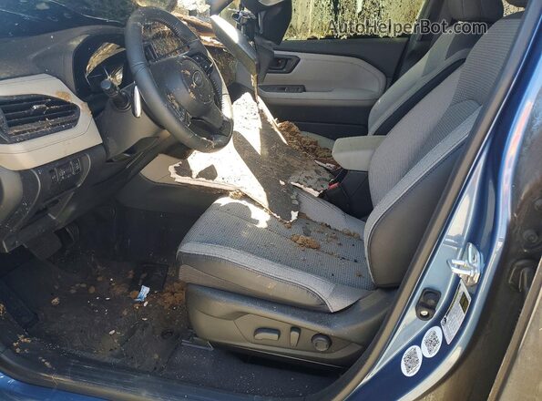 JF2SLDDCXSH588927 2025 SUBARU FORESTER Burn Սալոնի դիմացի տեսք