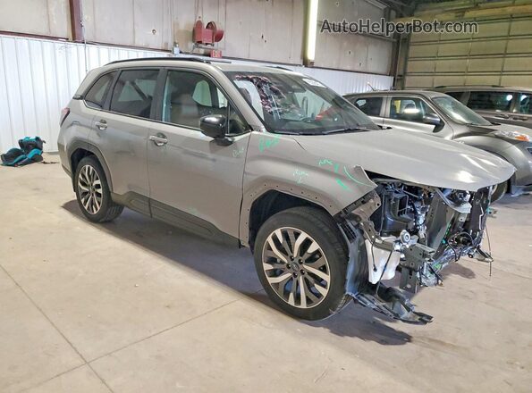 JF2SLDTC8SH454628 2025 SUBARU FORESTER Gray 