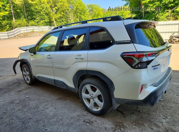 JF2SLSED3SH403080 2025 SUBARU FORESTER White Rear left