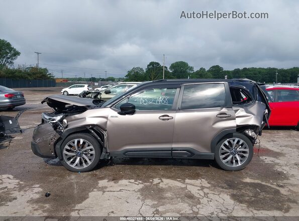 JF2SLSTD4SH411742 2025 SUBARU FORESTER Gray 
