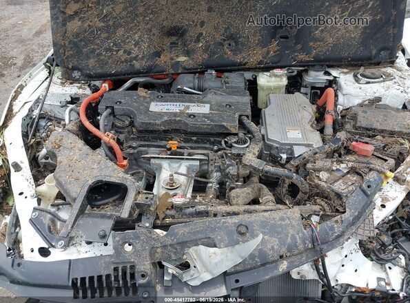 JHMCR6F38HC004491 2017 HONDA ACCORD White უკანა ხედი