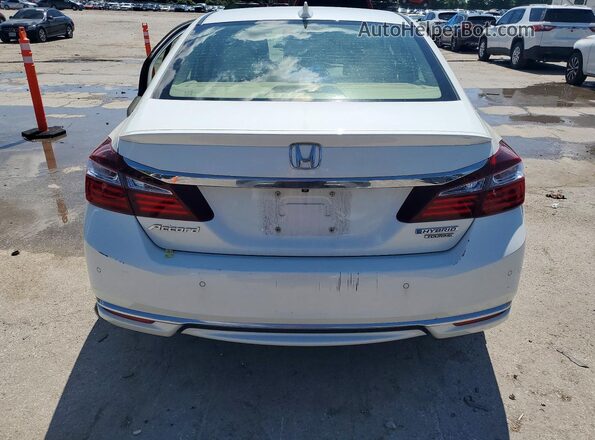 JHMCR6F77HC019891 2017 HONDA ACCORD Белый Вид сзади