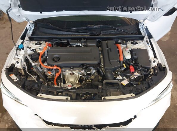 JHMFL4H83SX006502 2025 HONDA CIVIC White Вид ззаду