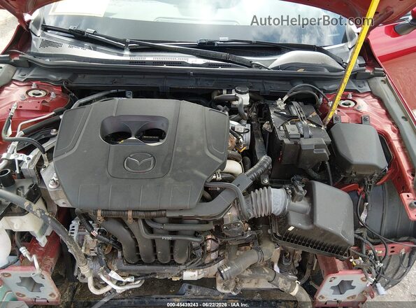 JM1BPALM2P1610785 2023 MAZDA 3 Red Widok z tyłu