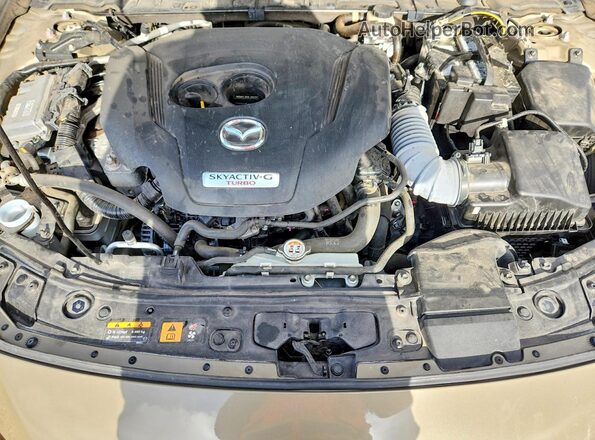 JM1BPBYY6R1708352 2024 MAZDA 3 Зеленый Вид задней части салона