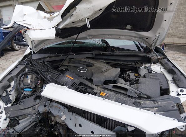 JM3KFBAY0S0574180 2025 MAZDA CX-5 Белый Вид сзади