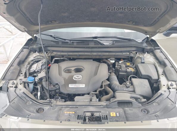 JM3KFBAY1S0598469 2025 MAZDA CX-5 Green Rear view
