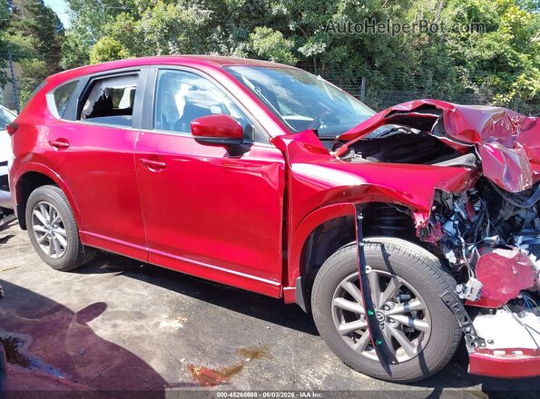 JM3KFBBL4R0489162 2024 MAZDA CX-5 Red Rear interior view