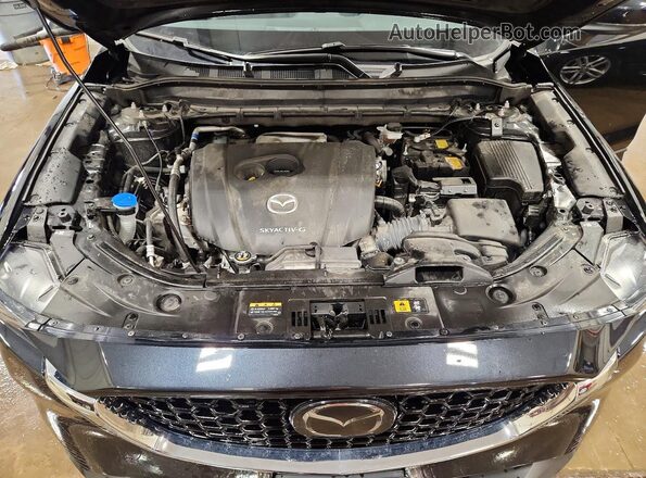 JM3KFBBM2P0251896 2023 MAZDA CX-5 Черный Вид задней части салона