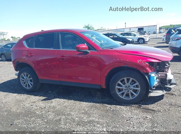 JM3KFBBM2P0271615 2023 MAZDA CX-5 Red Widok wnętrza z tyłu