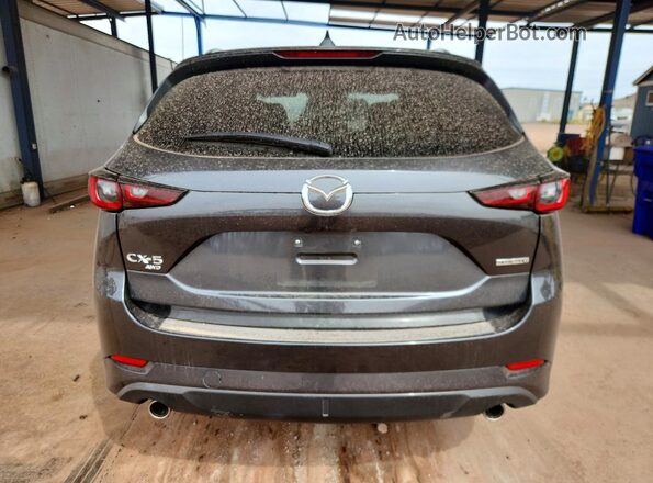 JM3KFBCL1R0450463 2024 MAZDA CX-5 Gray Հետևի տեսք