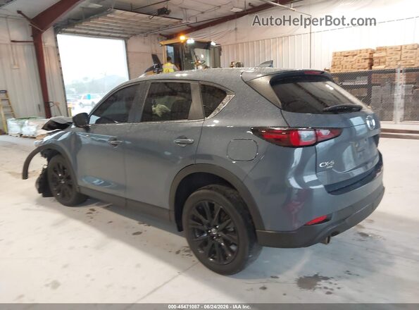 JM3KFBCL5R0502239 2024 MAZDA CX-5 Gray უკანა მარცხენა