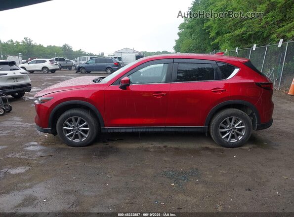 JM3KFBCM9P0190626 2023 MAZDA CX-5 Red სალონის 360-გრადუსიანი ხედი