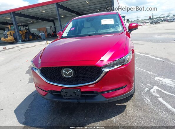 JM3KFBDMXK1576991 2019 MAZDA CX-5 Red Вид задньої частини салону