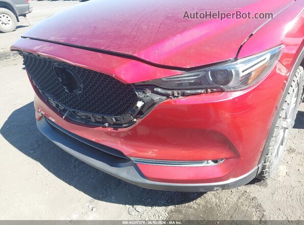 JM3KFBDY9K0591748 2019 MAZDA CX-5 Красный 
