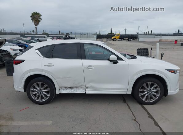 JM3KFBEM6R0390010 2024 MAZDA CX-5 White Rear interior view