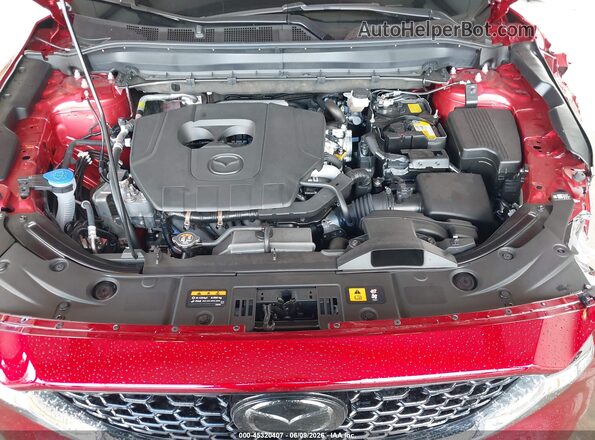 JM3KFBEMXS0553330 2025 MAZDA CX-5 Red Widok z tyłu