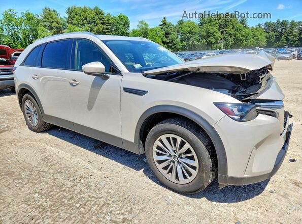 JM3KKBHD1R1134858 2024 MAZDA CX-90 Gray Delantero derecho