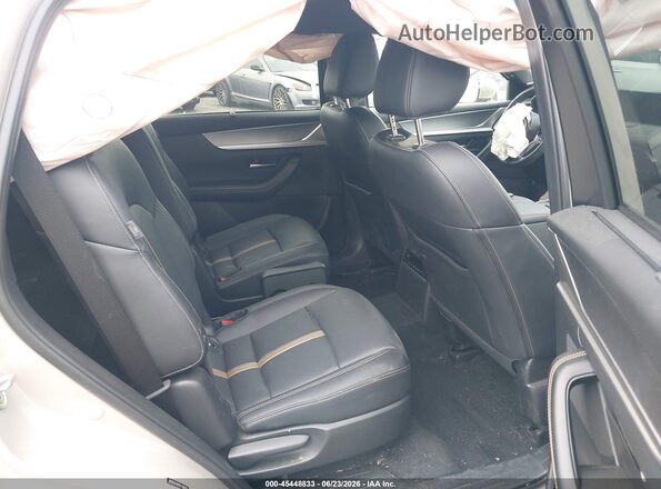 JM3KKEHD9R1188815 2024 MAZDA CX-90 Beige Вид наклейки з VIN-кодом